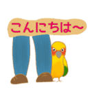 メキシコインコスタンプ（個別スタンプ：15）