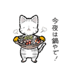 ねこ太郎のにゃんこ定食 3[冬]（個別スタンプ：8）