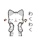 ねこ太郎のにゃんこ定食 3[冬]（個別スタンプ：11）