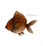 ペン画の金魚LINEスタンプ（個別スタンプ：1）