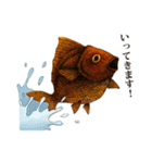 ペン画の金魚LINEスタンプ（個別スタンプ：3）