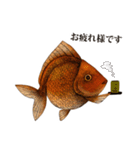 ペン画の金魚LINEスタンプ（個別スタンプ：5）