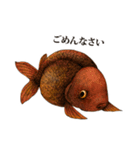 ペン画の金魚LINEスタンプ（個別スタンプ：6）