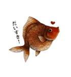 ペン画の金魚LINEスタンプ（個別スタンプ：8）