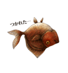 ペン画の金魚LINEスタンプ（個別スタンプ：11）