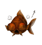 ペン画の金魚LINEスタンプ（個別スタンプ：14）