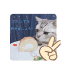 にゃん。にゃん。にゃん。（個別スタンプ：3）
