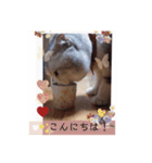 にゃん。にゃん。にゃん。（個別スタンプ：4）