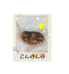 にゃん。にゃん。にゃん。（個別スタンプ：7）