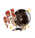 うさスタンプ正月1.0（個別スタンプ：7）