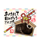 うさスタンプ正月1.0（個別スタンプ：8）