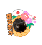 うさスタンプ正月1.0（個別スタンプ：9）