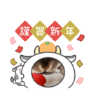 うさスタンプ正月1.0（個別スタンプ：15）