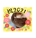 うさスタンプ正月1.0（個別スタンプ：16）
