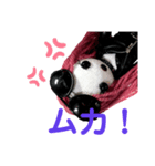 goth girl band girl（個別スタンプ：4）