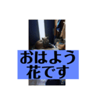 愛犬花11（個別スタンプ：2）