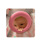 りりのすけ5（個別スタンプ：5）