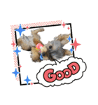 わらび(341)（個別スタンプ：2）