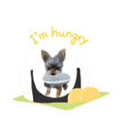 わらび(341)（個別スタンプ：6）