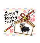 わらび(341)（個別スタンプ：9）
