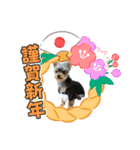 わらび(341)（個別スタンプ：10）