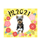 わらび(341)（個別スタンプ：12）