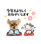 わらび(341)（個別スタンプ：14）