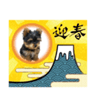 わらび(341)（個別スタンプ：15）