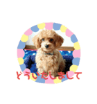 ショコラ(333)（個別スタンプ：7）