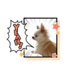 ヒメ(335)（個別スタンプ：6）