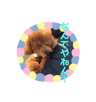 モモ(336)（個別スタンプ：1）