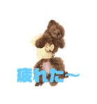 モモ(336)（個別スタンプ：3）