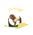 モモ(336)（個別スタンプ：4）