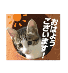 ビビ＆カカ 2（個別スタンプ：1）