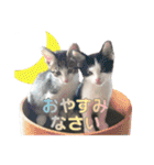 ビビ＆カカ 2（個別スタンプ：3）
