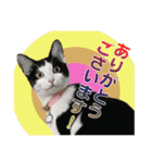 ビビ＆カカ 2（個別スタンプ：5）