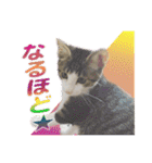 ビビ＆カカ 2（個別スタンプ：8）