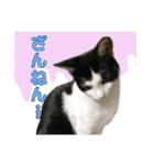 ビビ＆カカ 2（個別スタンプ：9）