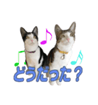 ビビ＆カカ 2（個別スタンプ：10）