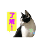 ビビ＆カカ 2（個別スタンプ：14）