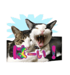 ビビ＆カカ 2（個別スタンプ：15）