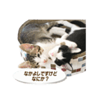 ビビ＆カカ 2（個別スタンプ：16）