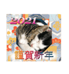 ビビ＆カカ 2（個別スタンプ：22）