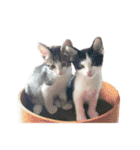 ビビ＆カカ 2（個別スタンプ：35）