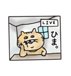 年末だよ！ 犬岡さん ！（個別スタンプ：15）