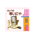 スコてん2（個別スタンプ：2）