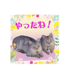 スコてん2（個別スタンプ：3）