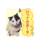 スコてん2（個別スタンプ：4）