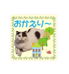 スコてん2（個別スタンプ：5）
