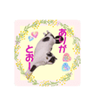 スコてん2（個別スタンプ：8）
